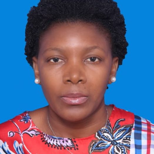 Member: Head of NIMCA Secretariat