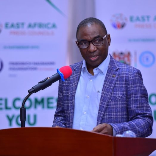 Member: Media Council of Tanzania